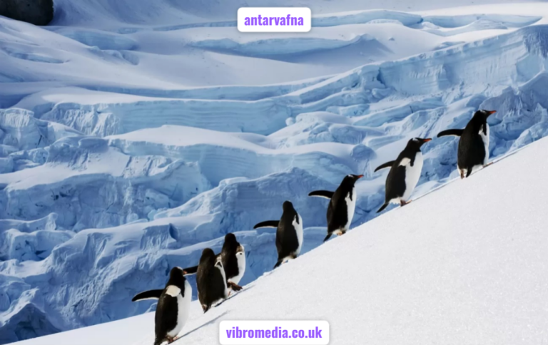 antarvafna